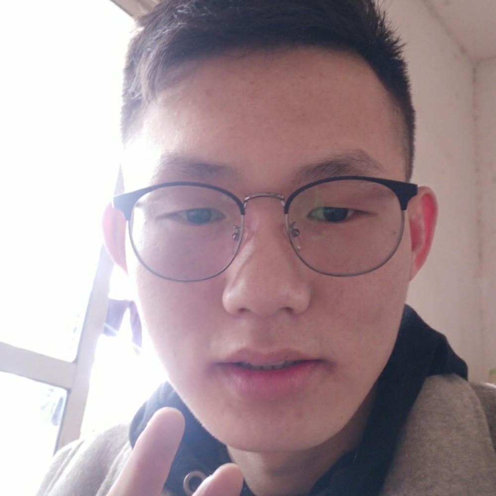 大象传统的照片