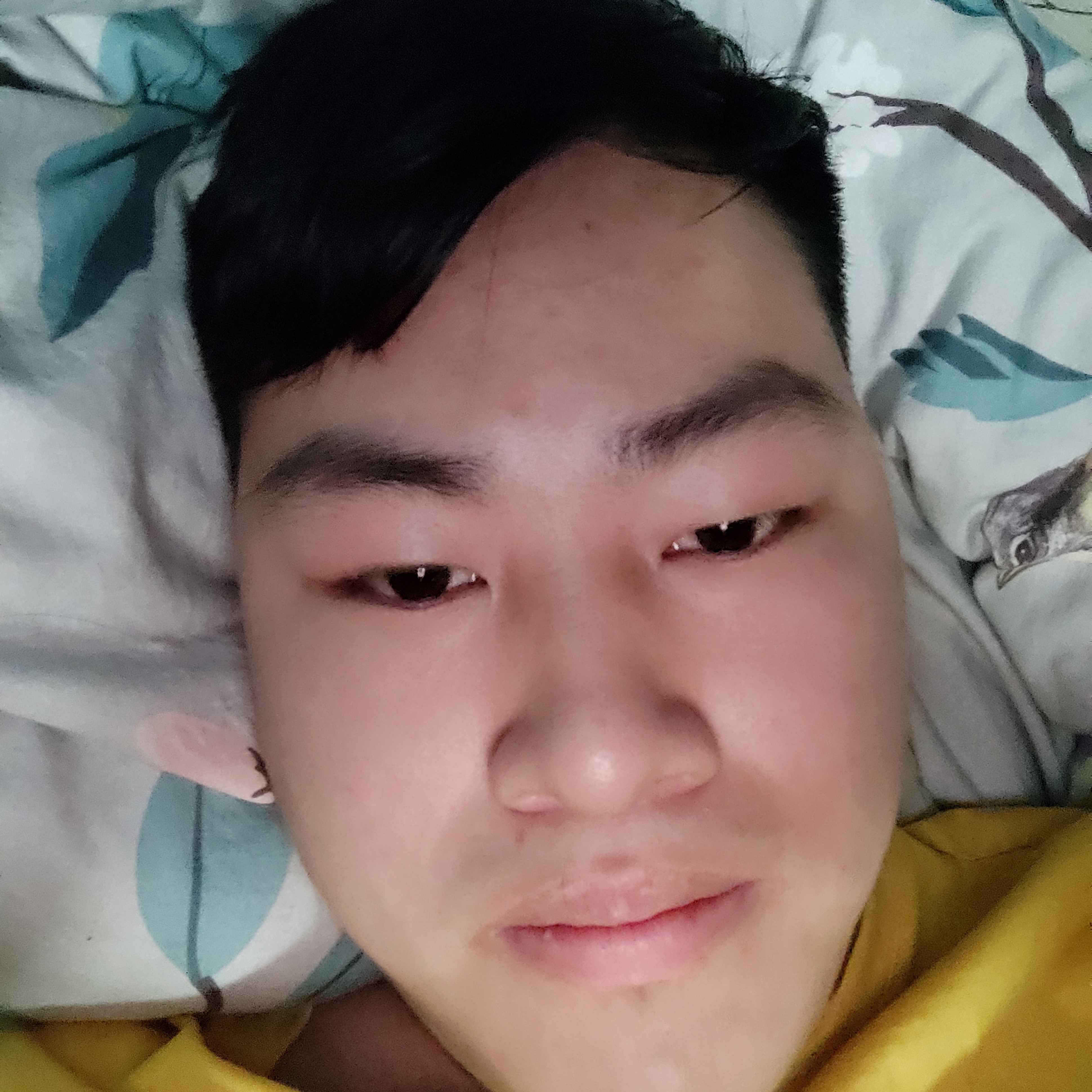 流年的吃醋龙猫的照片