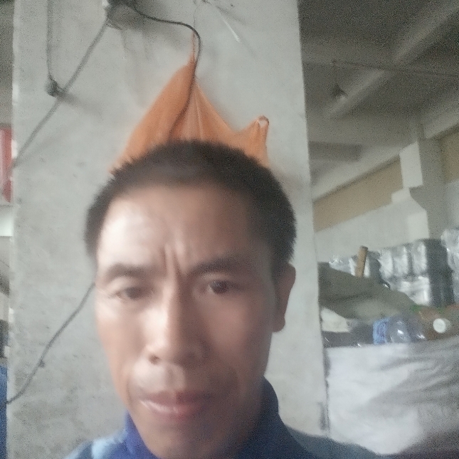 正直倾心镜子的照片