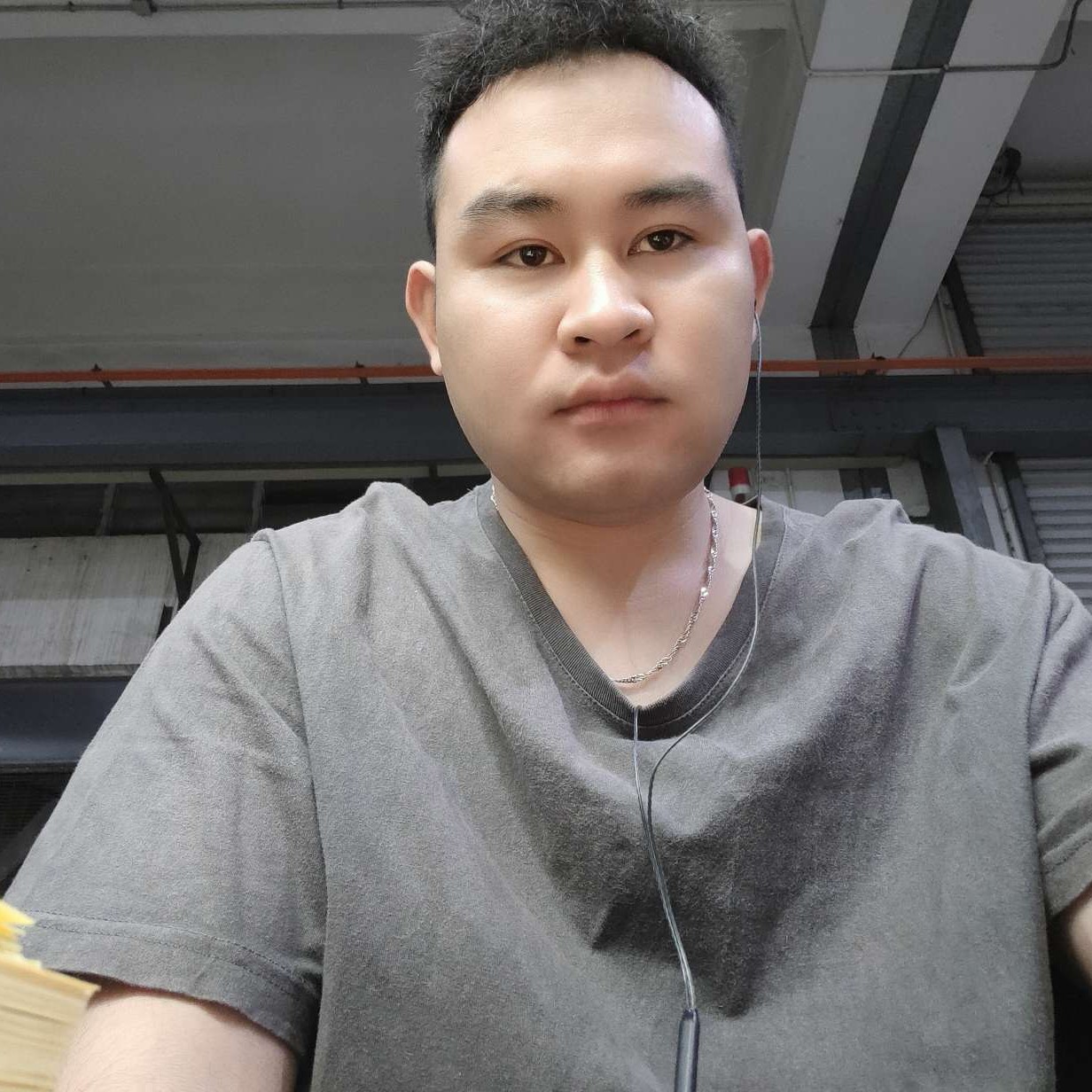 舒荷演变恬静的照片