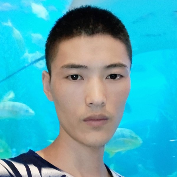 最野的狼3的照片
