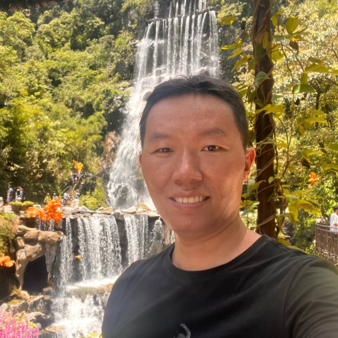 坦率停止枫叶的照片
