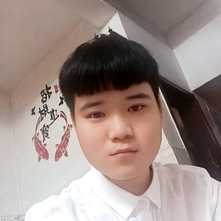 夜猫子的照片