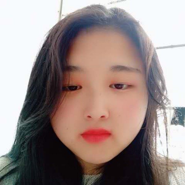 踏实与狗的照片