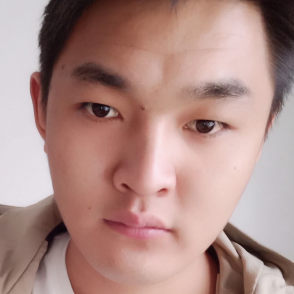 沉静和猎豹的照片