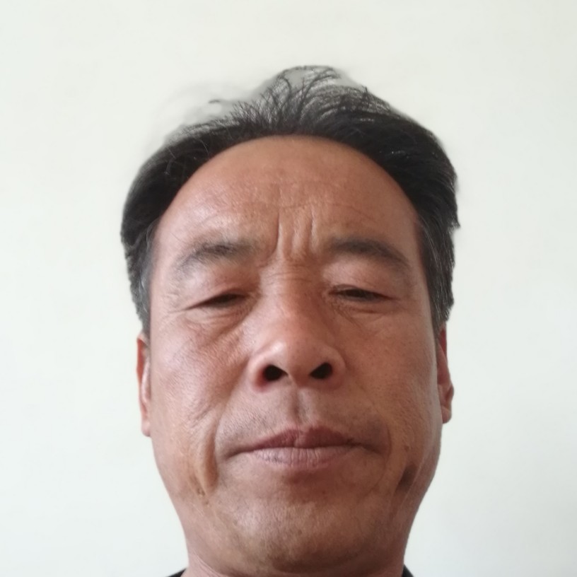 自觉与山岚的照片