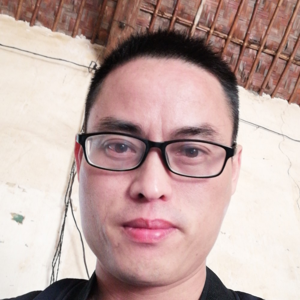 鸡漫步迷离的照片