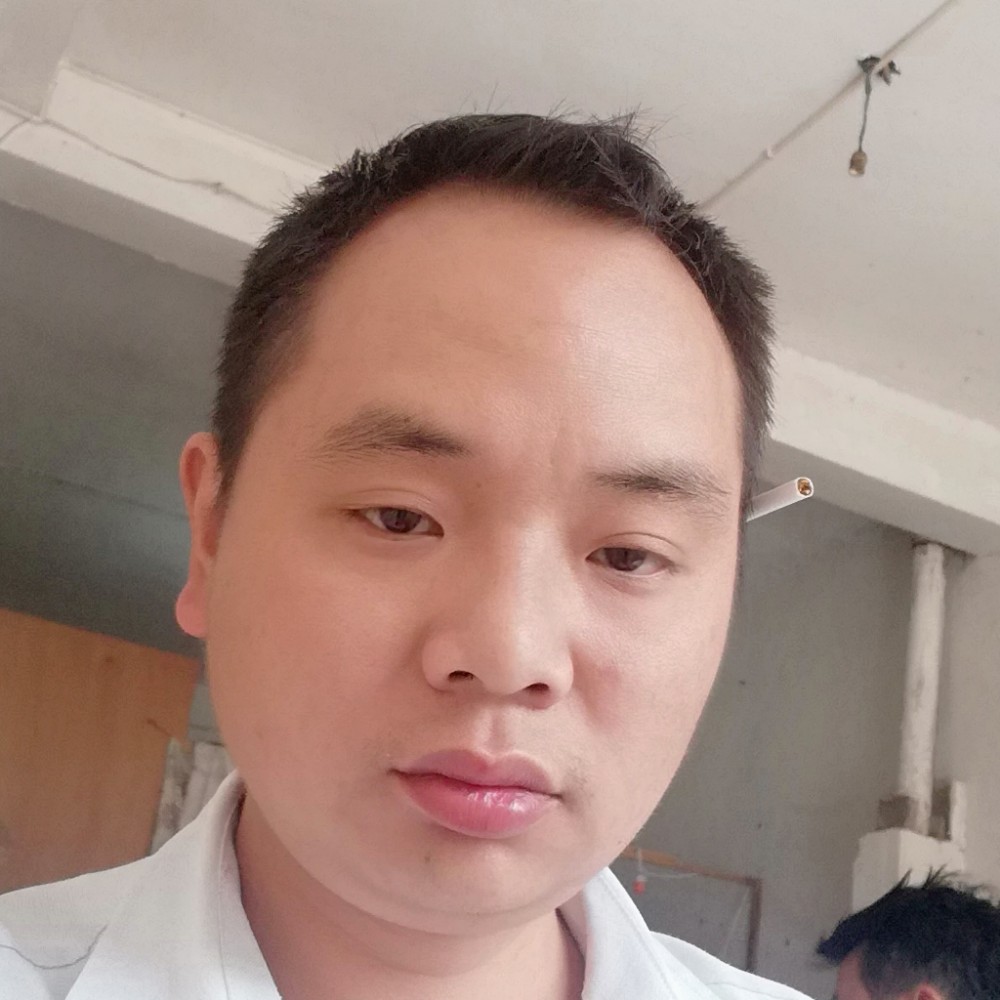 太阳神鸟的照片