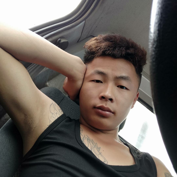 虚幻苦恋荷花的照片