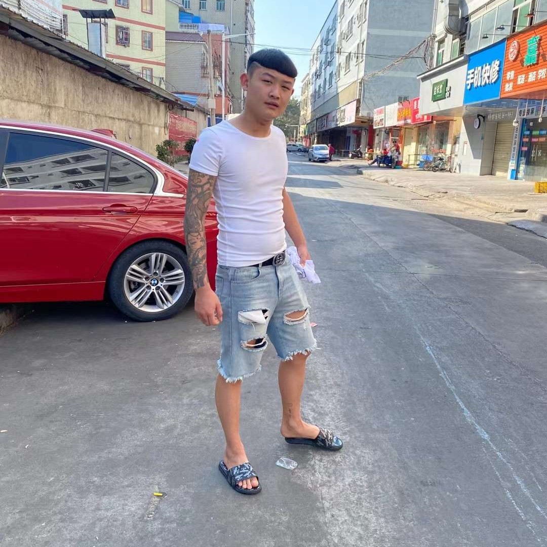 蚂蚁闻谨慎的照片