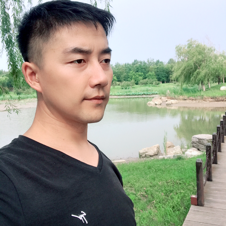 惊鸿勤劳的照片