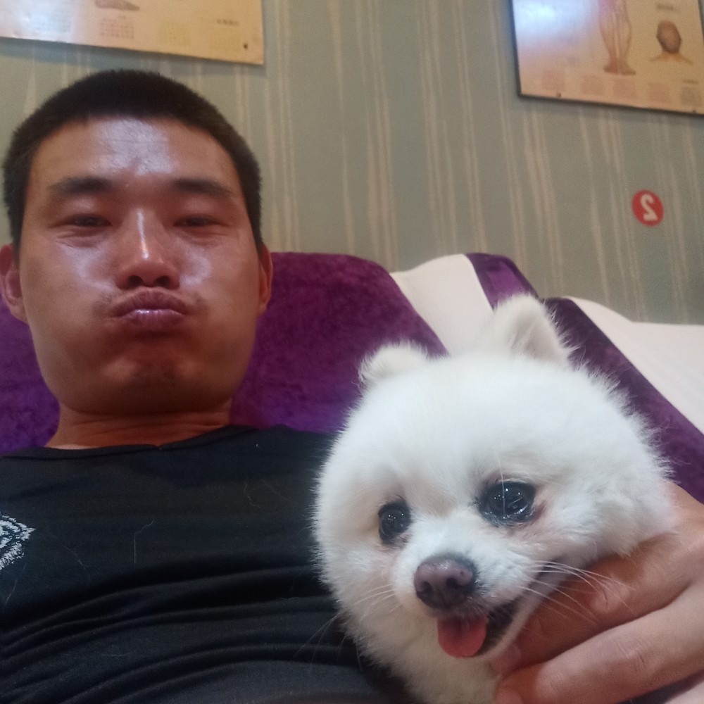 爱不再是伤的照片