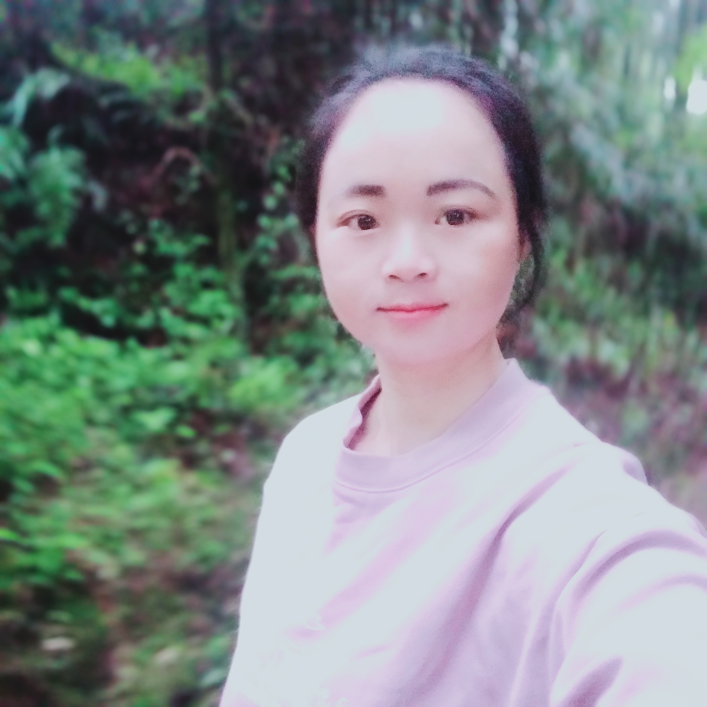兀鹫的照片