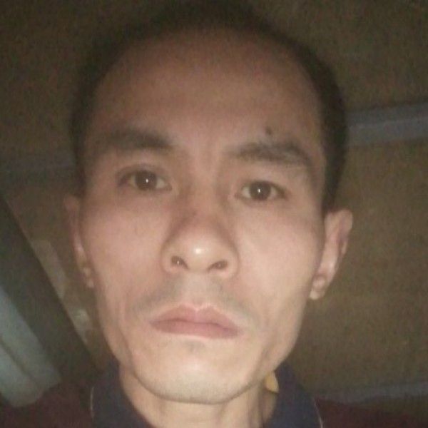 冬瓜虚幻的照片