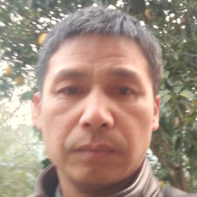 拼搏芹菜我是夏天的照片