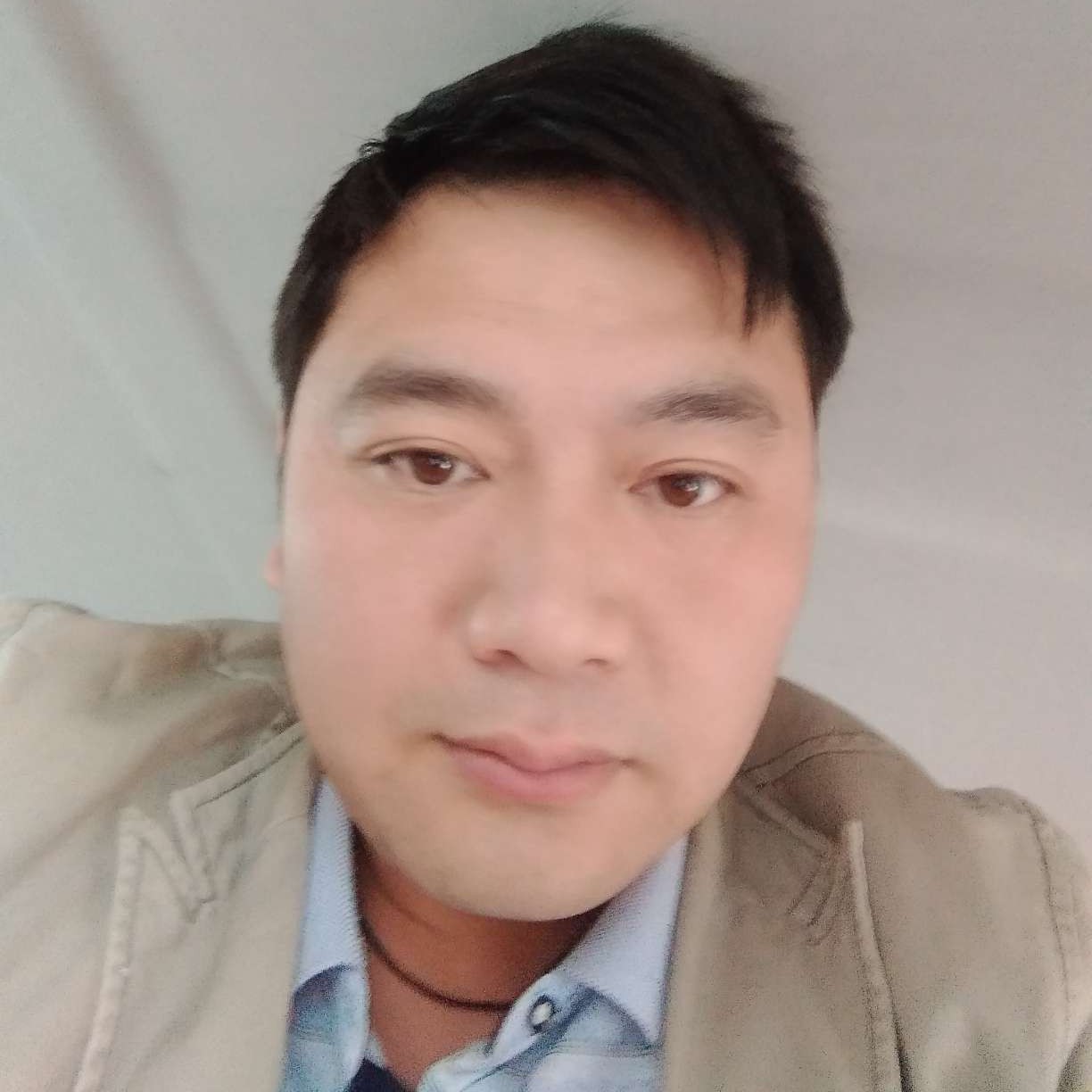 金鱼相许初夏的照片