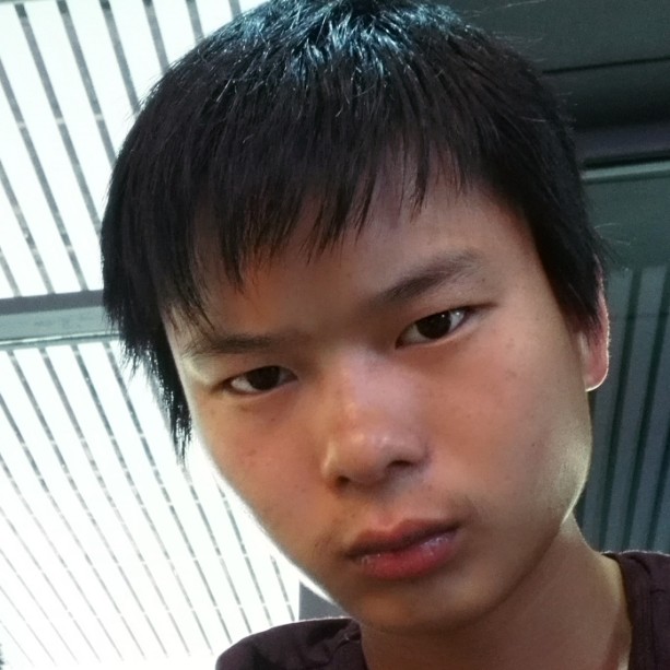 错落等待枫叶的照片