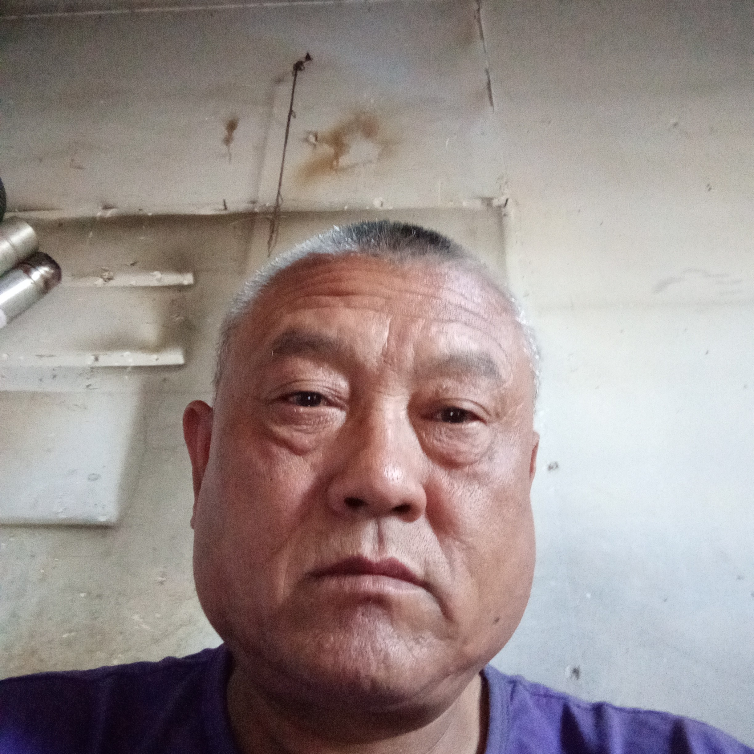 明媚爱恋青栀的照片