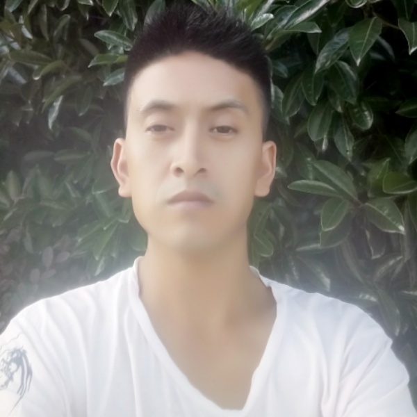 的照片