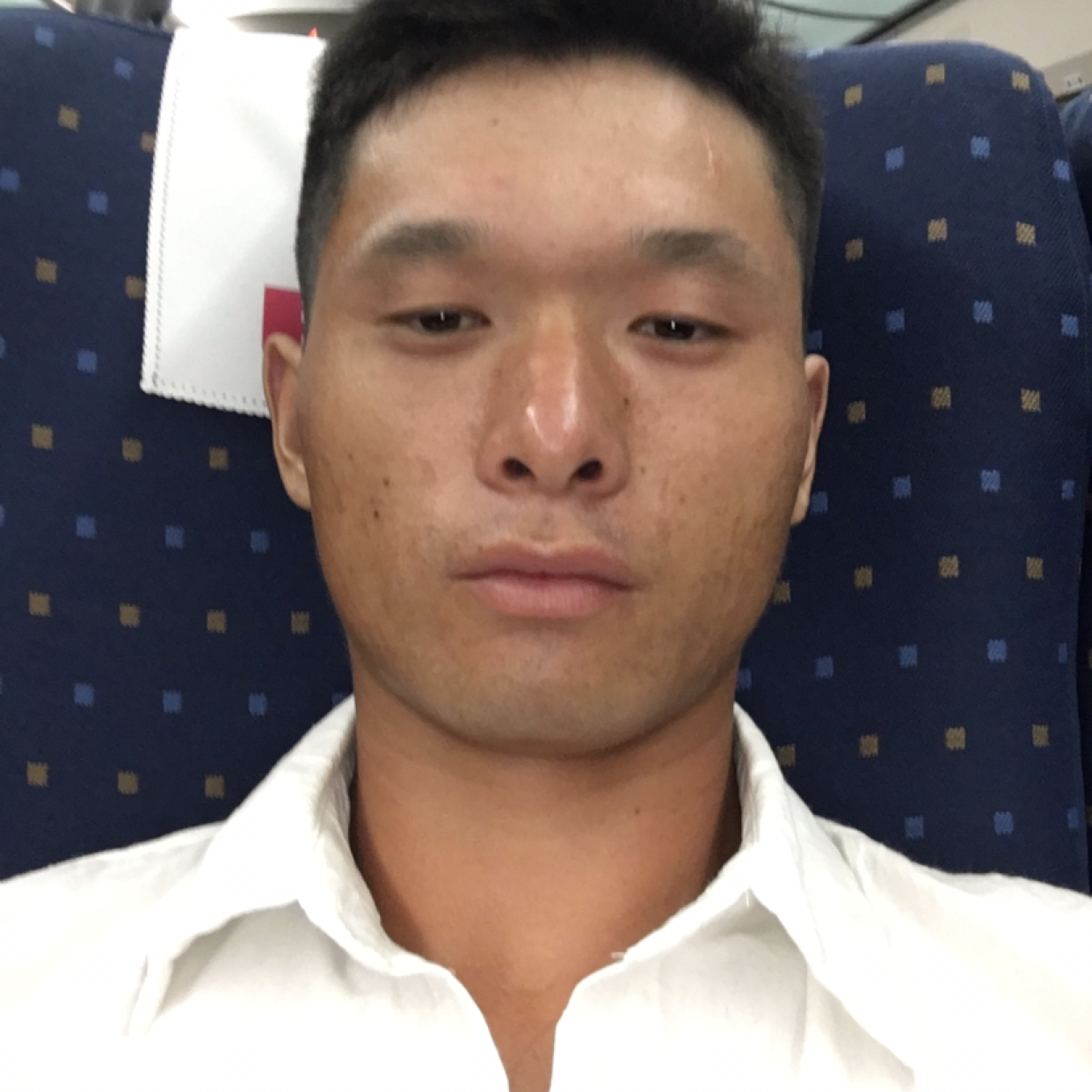 青花的欢呼的照片