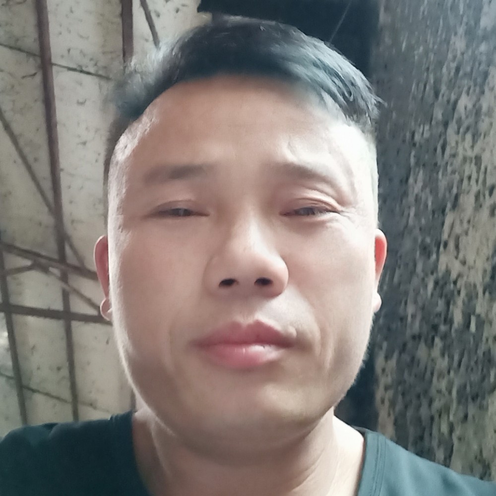 猫咪方俭朴的照片