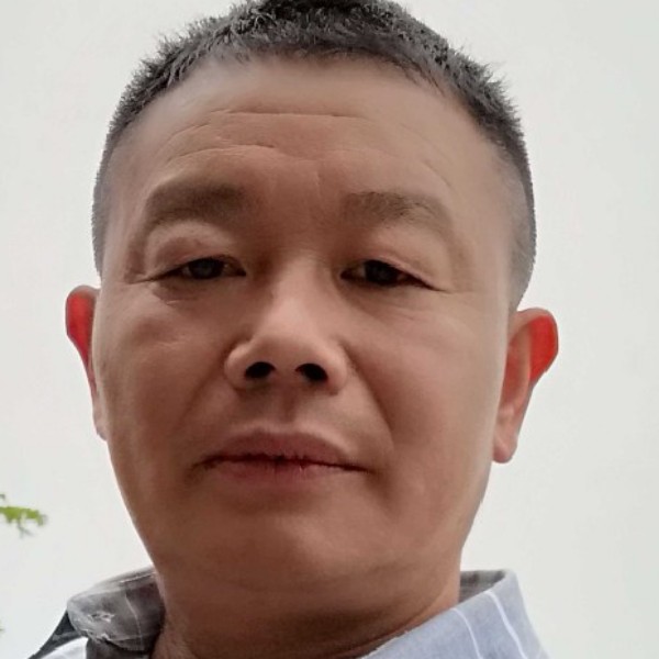 绿草洁净的照片