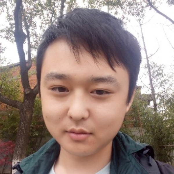 小海豚回眸高大的照片
