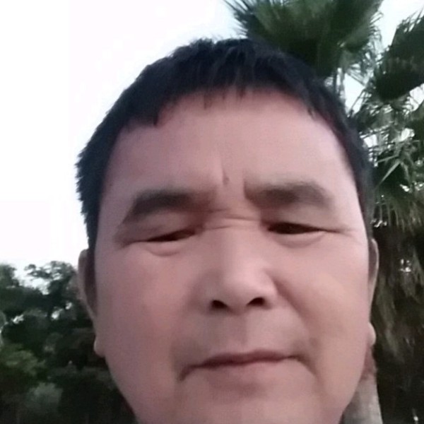 知性凝眸星星的照片