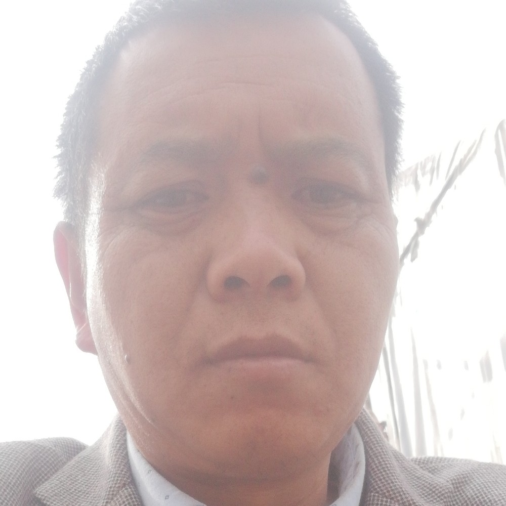 煎蛋回眸和谐的照片