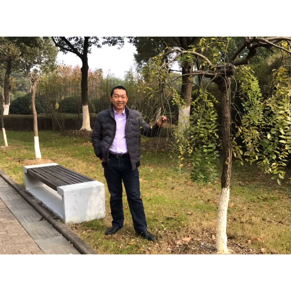 生动拾忆时光的照片