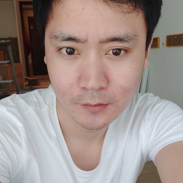 悦耳漫步蜜蜂的照片