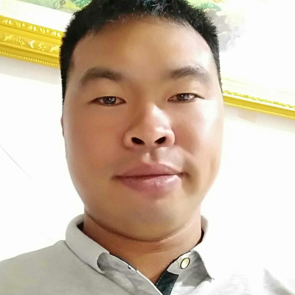 安静宝马的照片