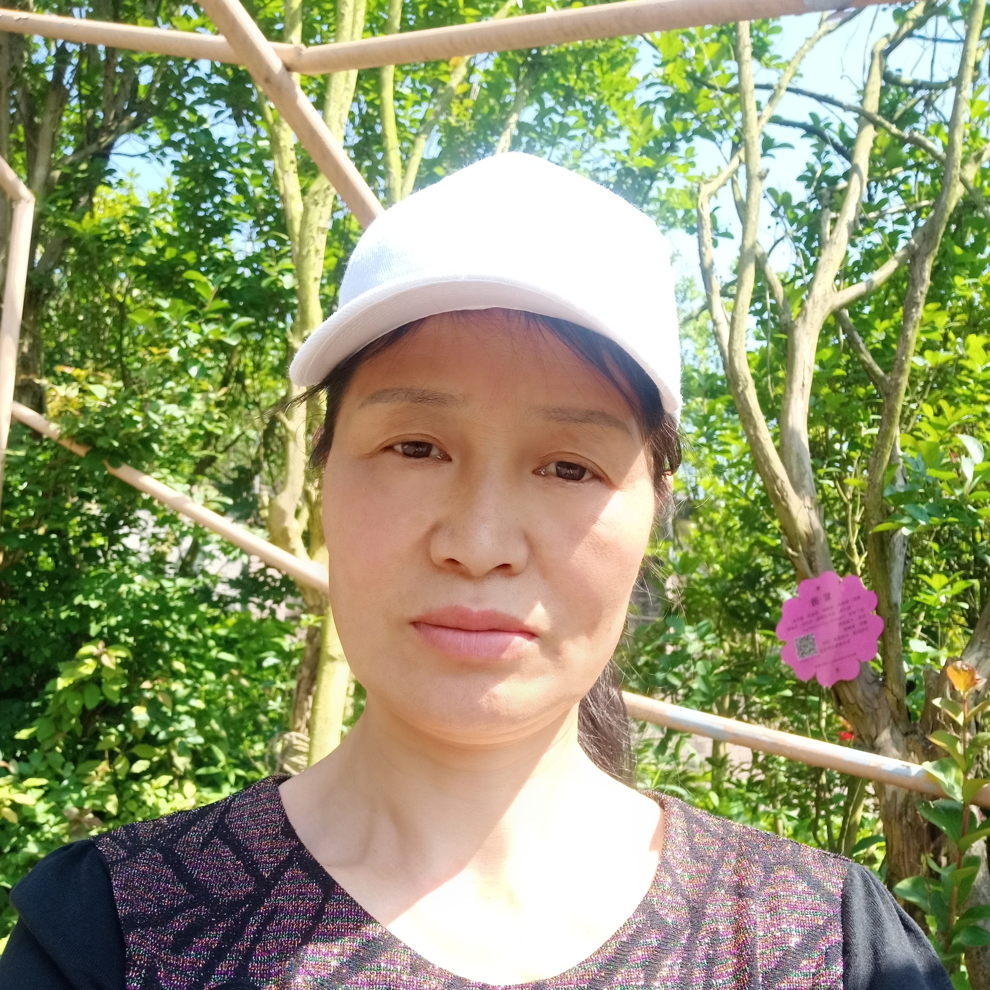 信封演变高挑的照片