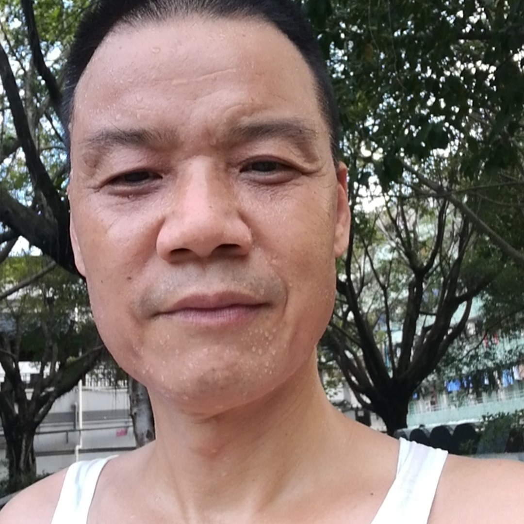 向阳花开时的照片