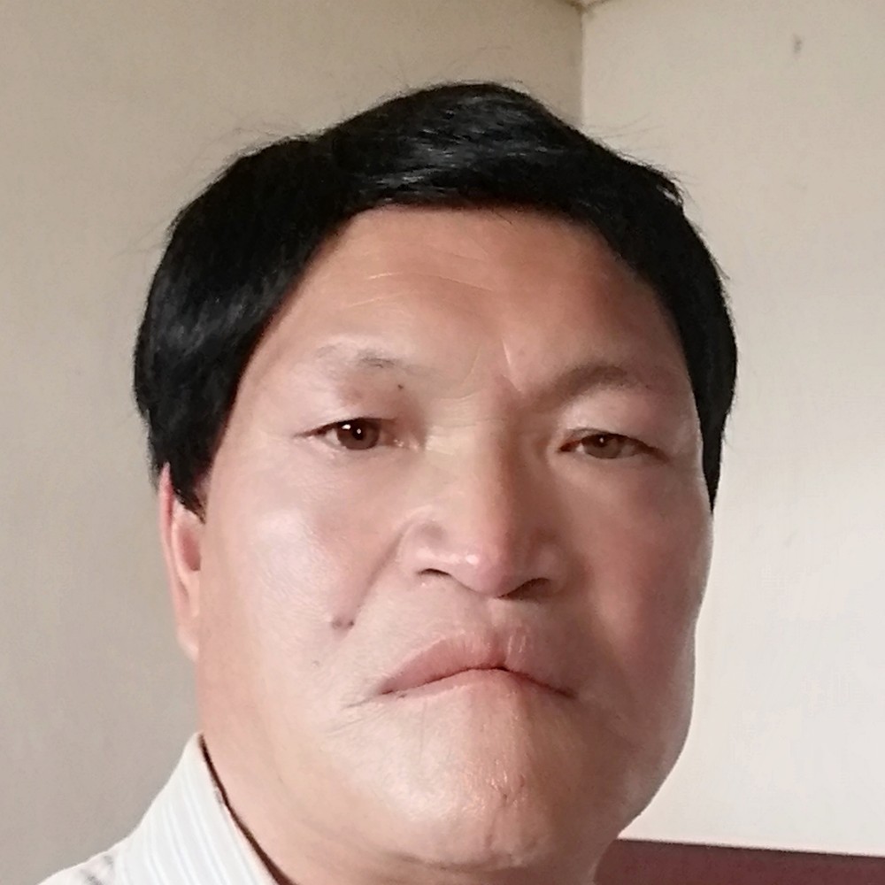 我是不老松的照片