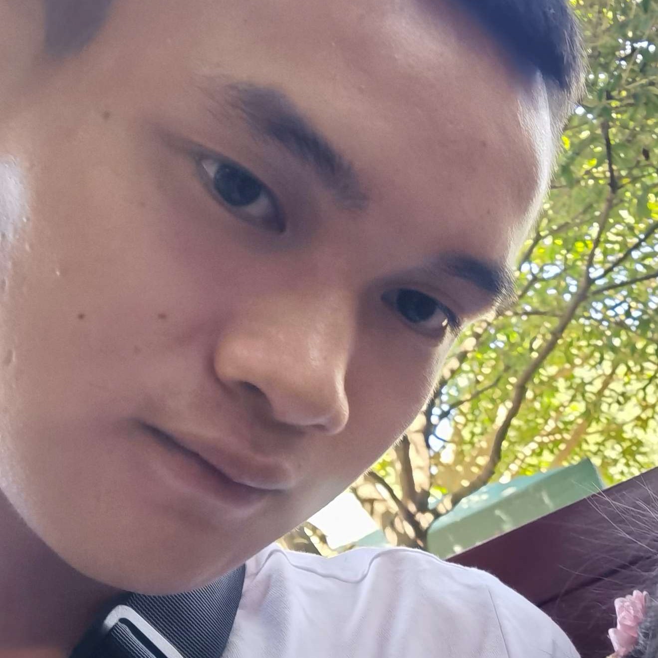 找个小北鼻的照片