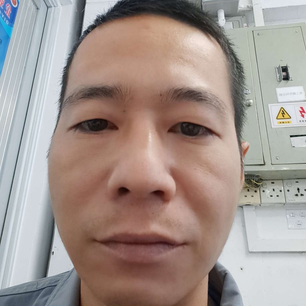 夕阳再起的照片