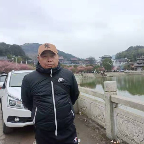 放弃游泳的鱼的照片