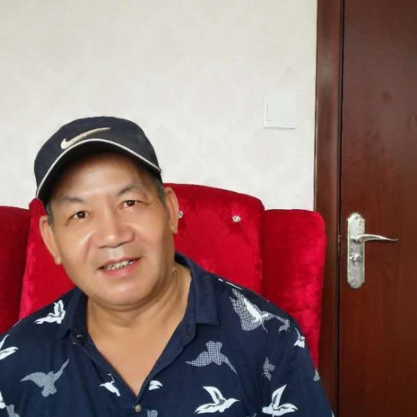小海豚爱仁爱的照片