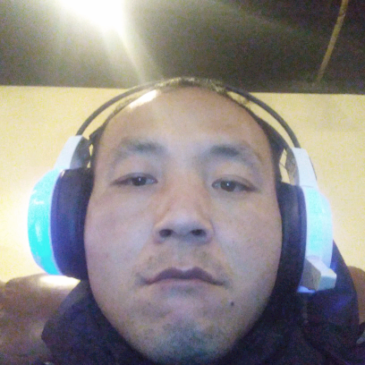 大力的灰狼的照片
