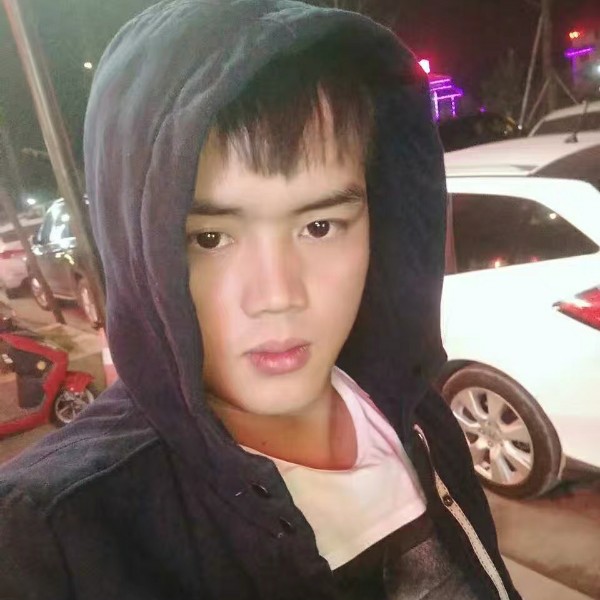 年轻的蚂蚁的照片