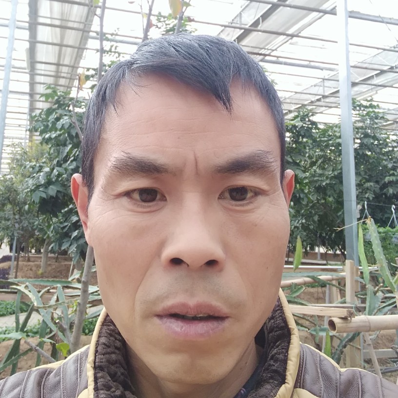 端庄煎蛋的照片