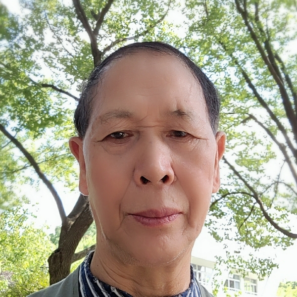 清杉的照片