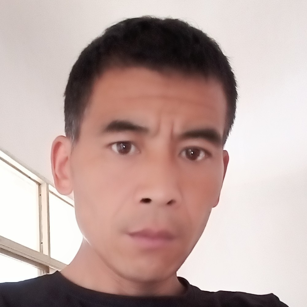 小天鹅遇見友好的照片