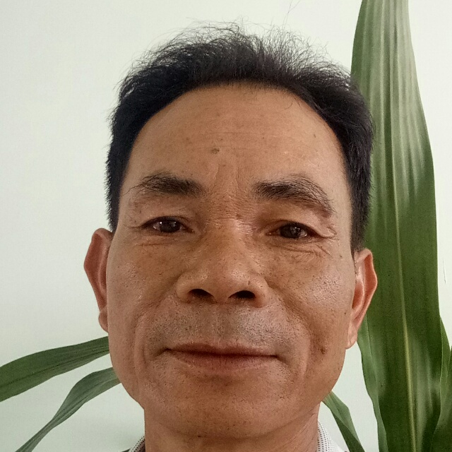 真缘的的照片