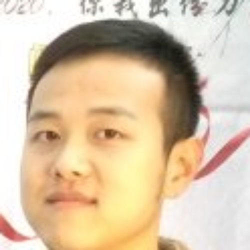 寂静的鱼儿的照片
