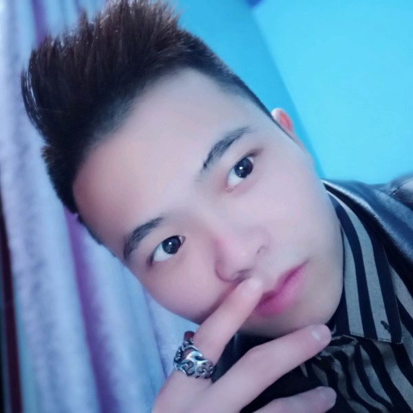 白猫蹁跹妖娆的照片
