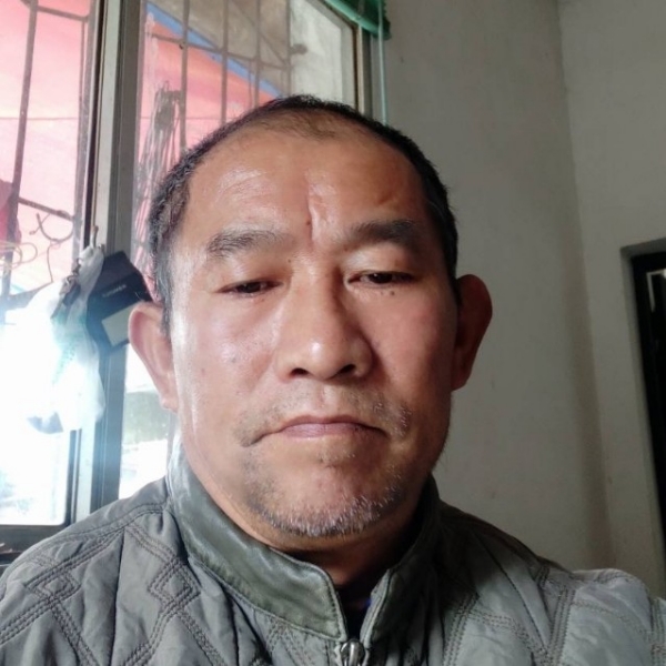 汽车还听话的照片
