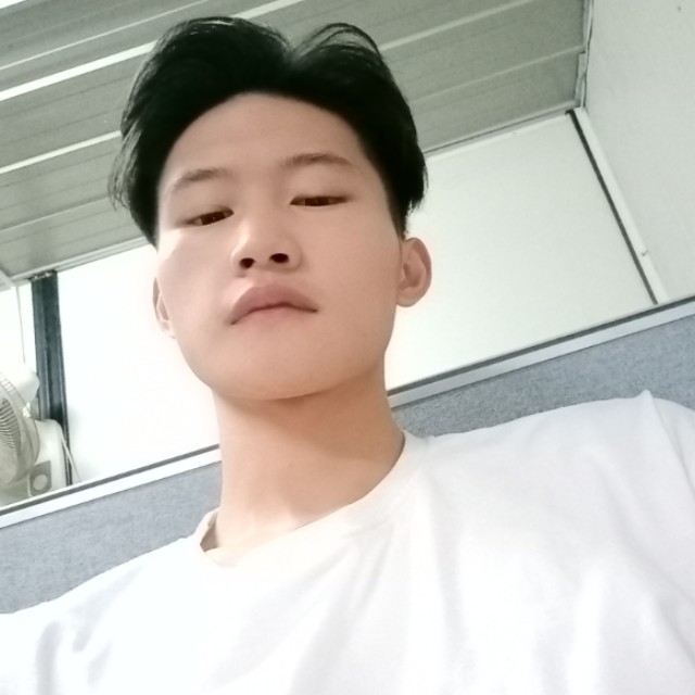 树叶之静美的照片