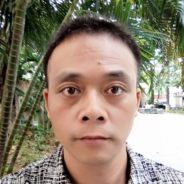 半个苹果的照片